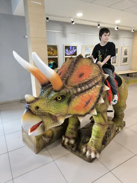 Barevné dinosauří skákací hrady rozestavěné v hale